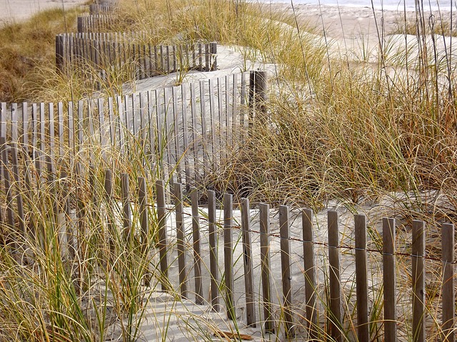 De Duinen het beschermen waard