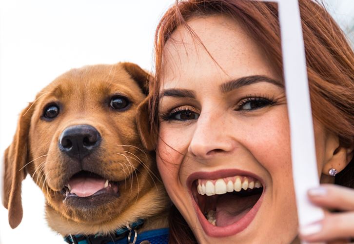 Dierenasiel ’t Julialaantje zoekt jongerenambassadeur voor social media