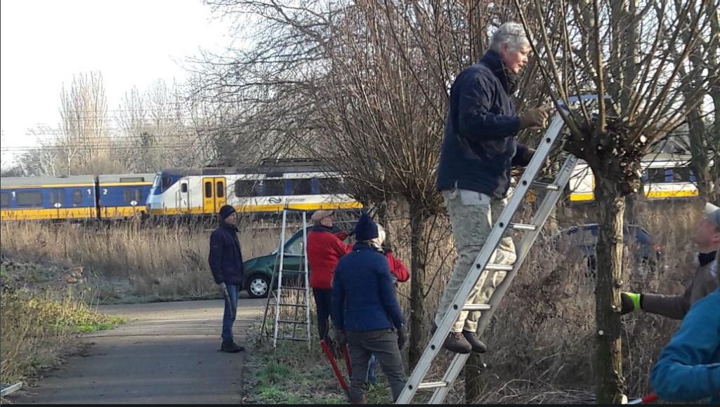 Knotten gaat als een trein