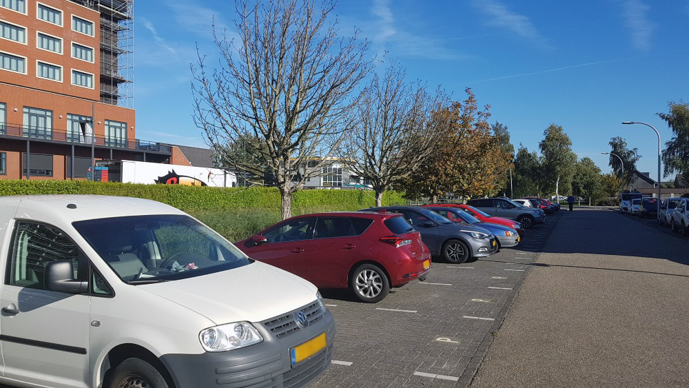 Nieuwe bomen voor de Veenderij in Nootdorp