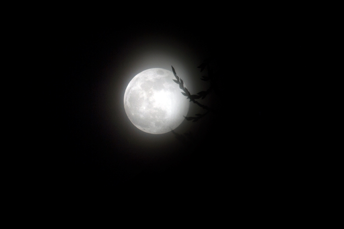 De grootste en felste volle maan van 2019 De supersneeuwmaan