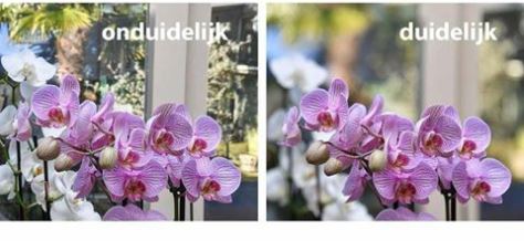 Leer mooiere foto’s te maken met je camera