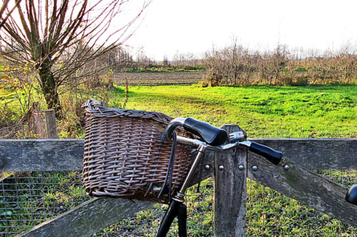 Wilgen knotten bij de boerderij van familie Rodenburg