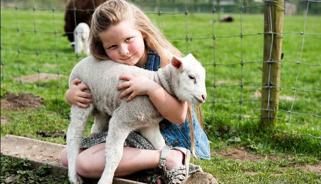 Vijf weken kinderactiviteiten bij kinderboerderij Het Akkertje