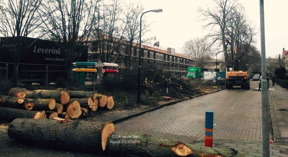 Bomen wijken voor parkeerplaatsen