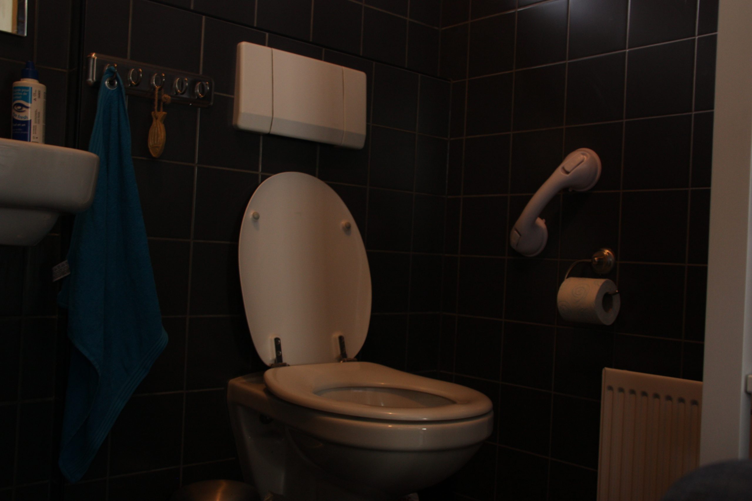 Initiatiefvoorstel voor voldoende (rolstoel-) toegankelijke openbare toiletvoorzieningen
