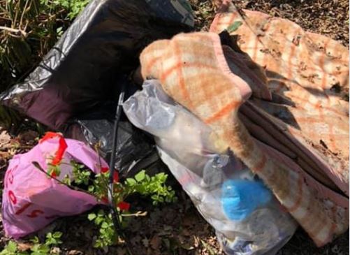 Weer bezoeker in Parkcamping Steenvoorde