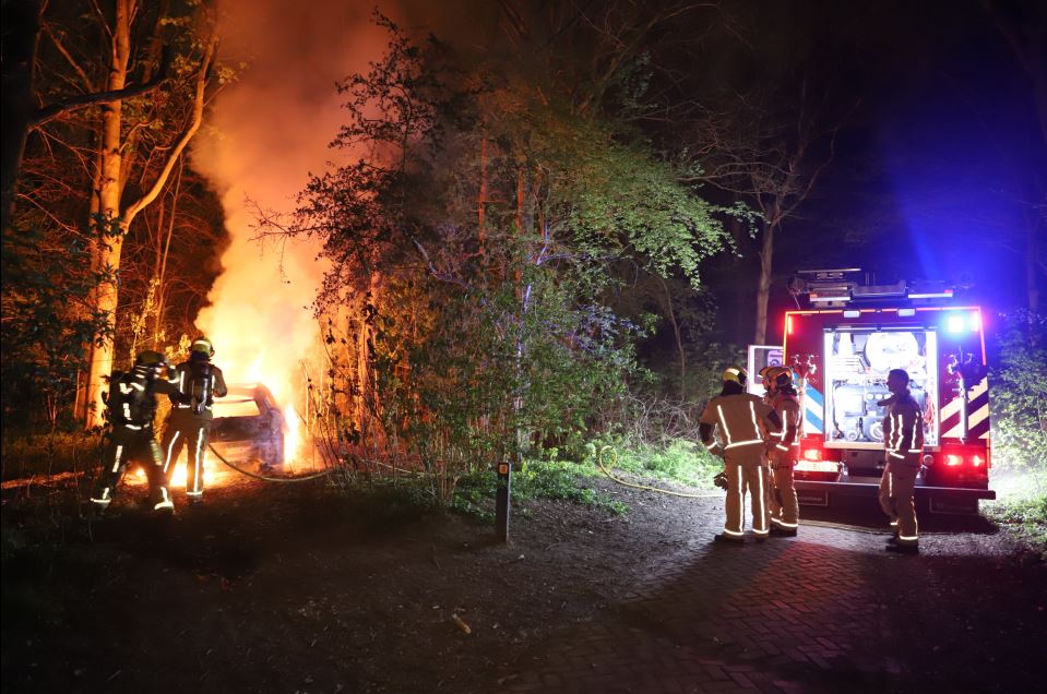 Gedumpte auto uitgebrand in Elsenburgerbos