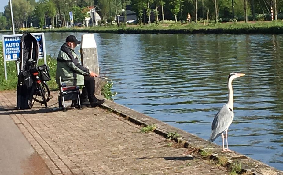 Wie haal de eerste vis binnen
