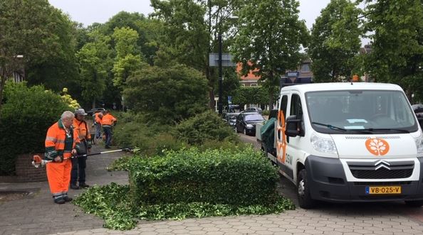 DSW zorgt voor onderhoud Rijswijkse groen