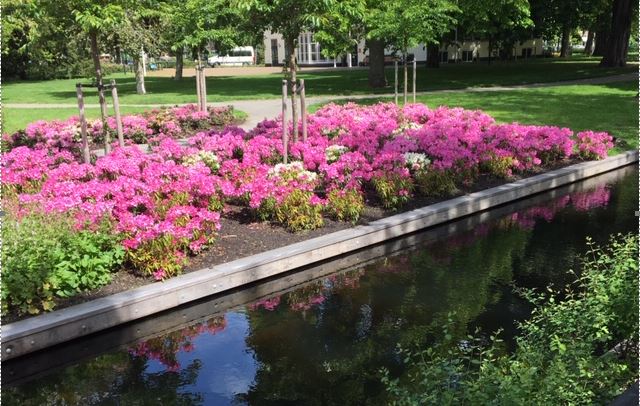 Glorie van weleer is terug in Park Hofrust