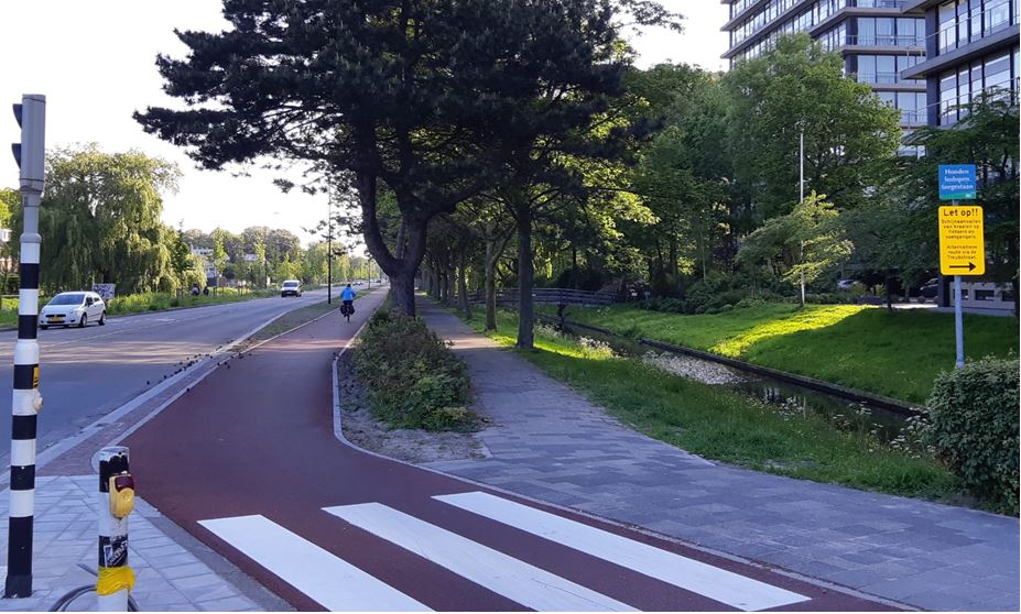 Kraaien vallen fietsers aan op Churchilllaan aan