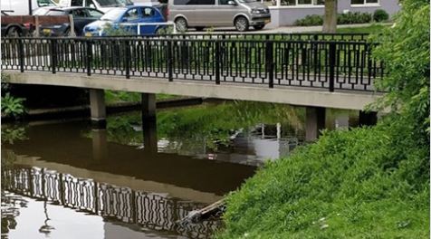 Wie weet meer over dood eenden en meerkoten