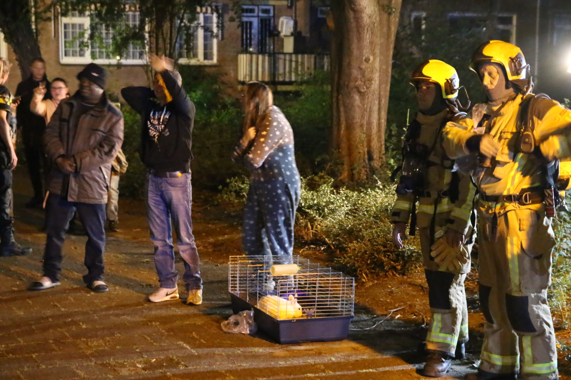 Konijn en kat gered bij brand Karel Doormanlaan