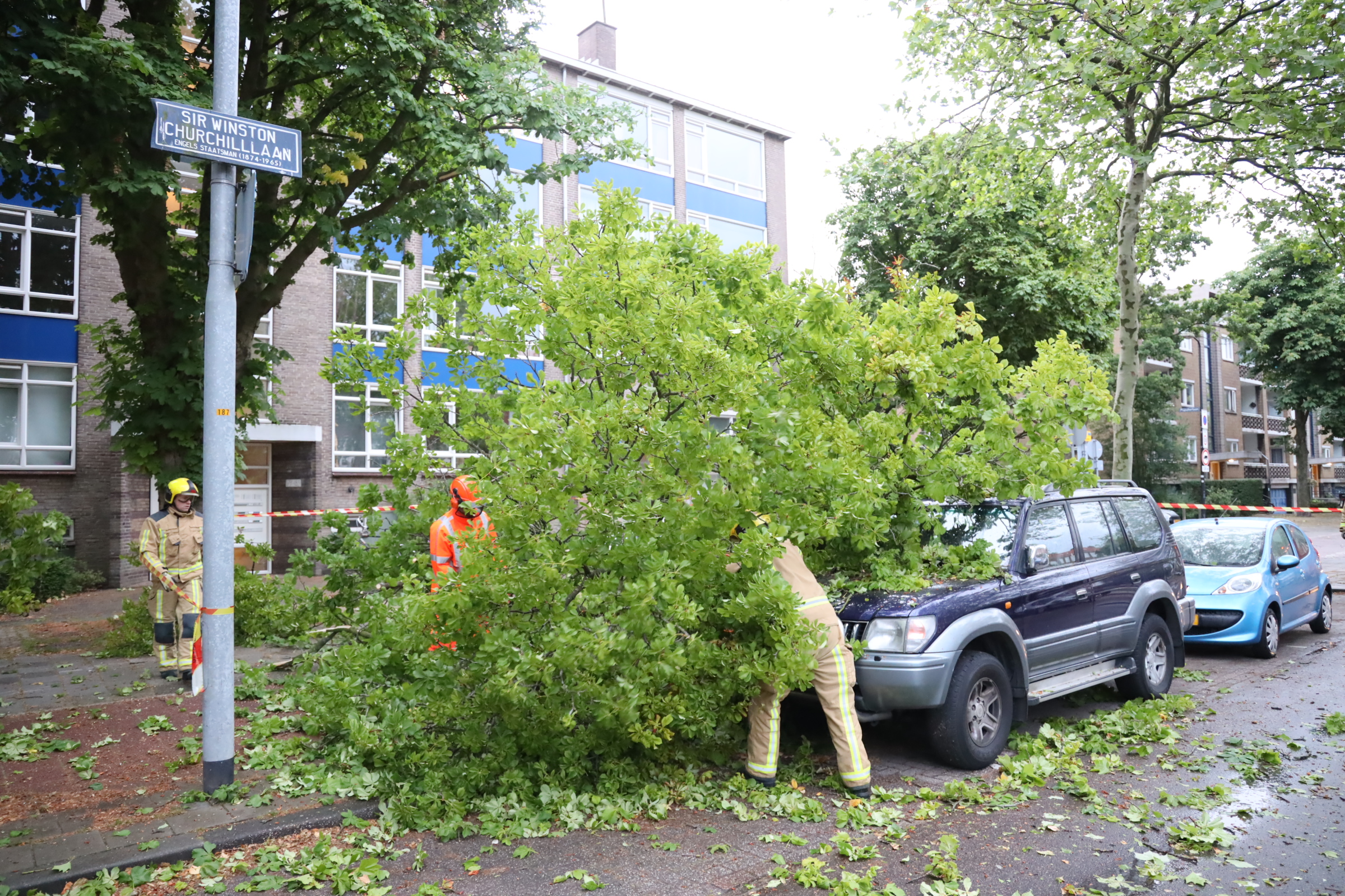 Bomen vallen op auto’s door harde wind