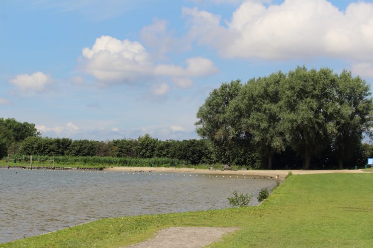 Zwemmen in de Dobbeplas: Het kan