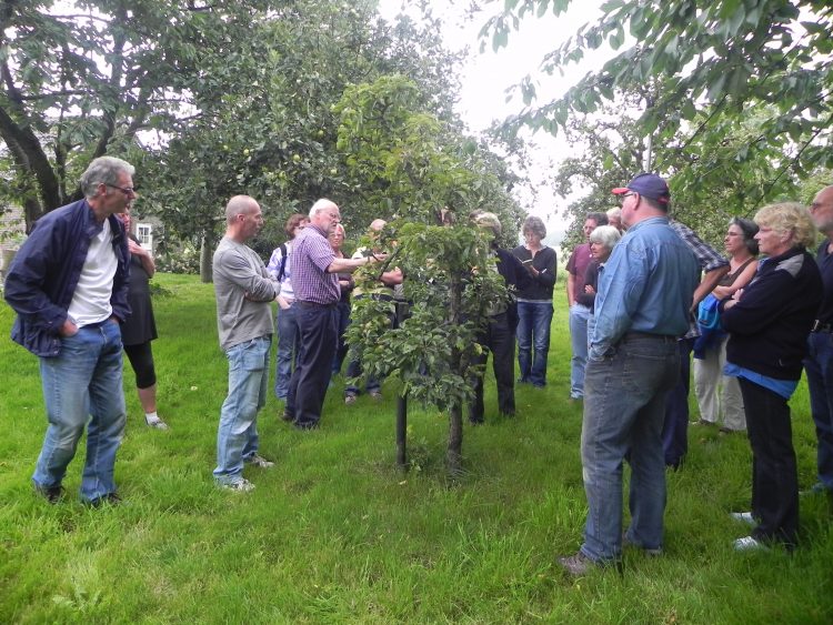 Workshop snoeien boomgaard