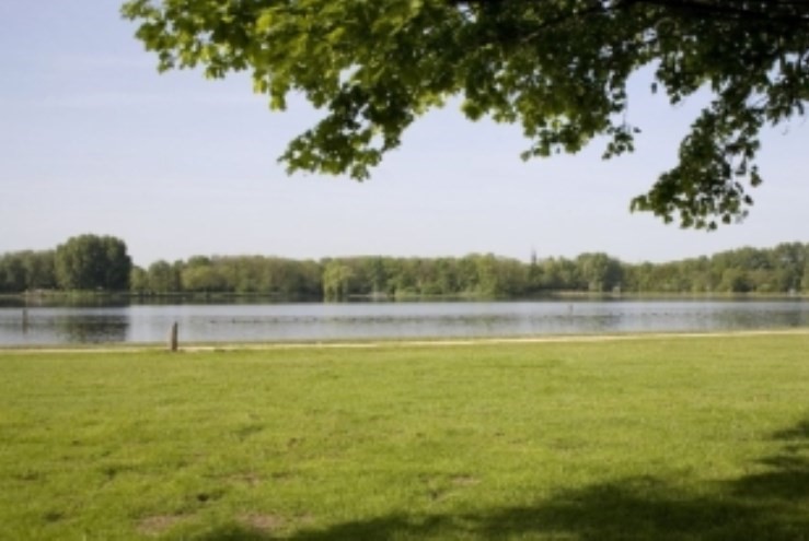 Zwemwater Delftse Hout in orde