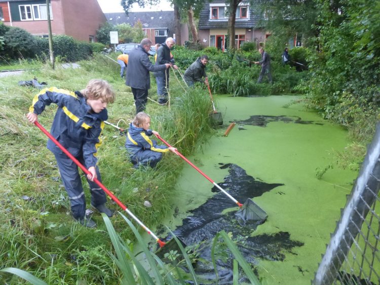 22 augustus vanaf 19.00 uur: Help kroos scheppen
