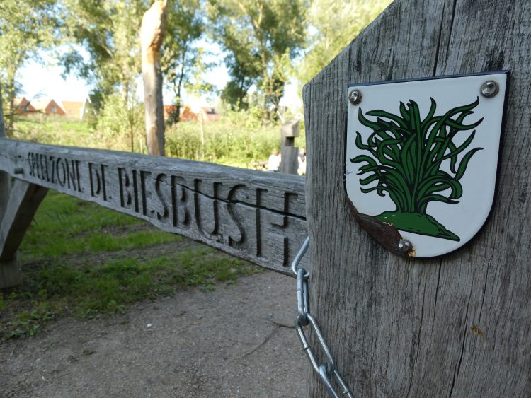 Feest ter ere van recent opgeknapte speelbossen