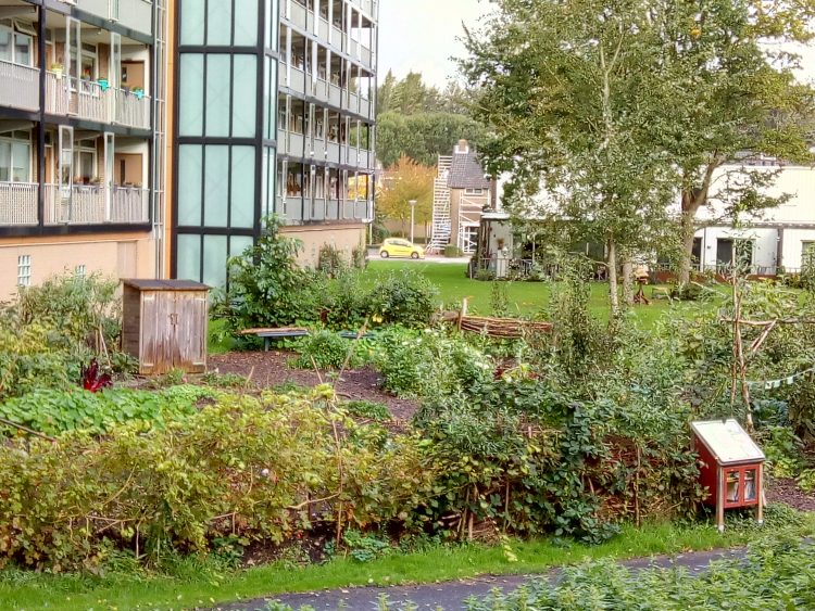 Vrijdag 11 oktober: onthulling insectenhotel Buurttuin Pijnacker-Noord