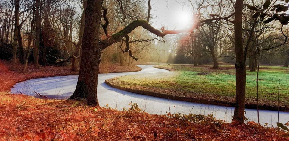 [FOTO] Vier seizoenenfoto Park Overvoorde