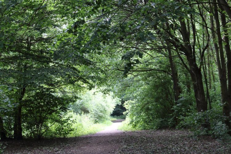 donderdag 21 november 14:30 uur: Niet alleen Pijnacker-Nootdorp is groen.