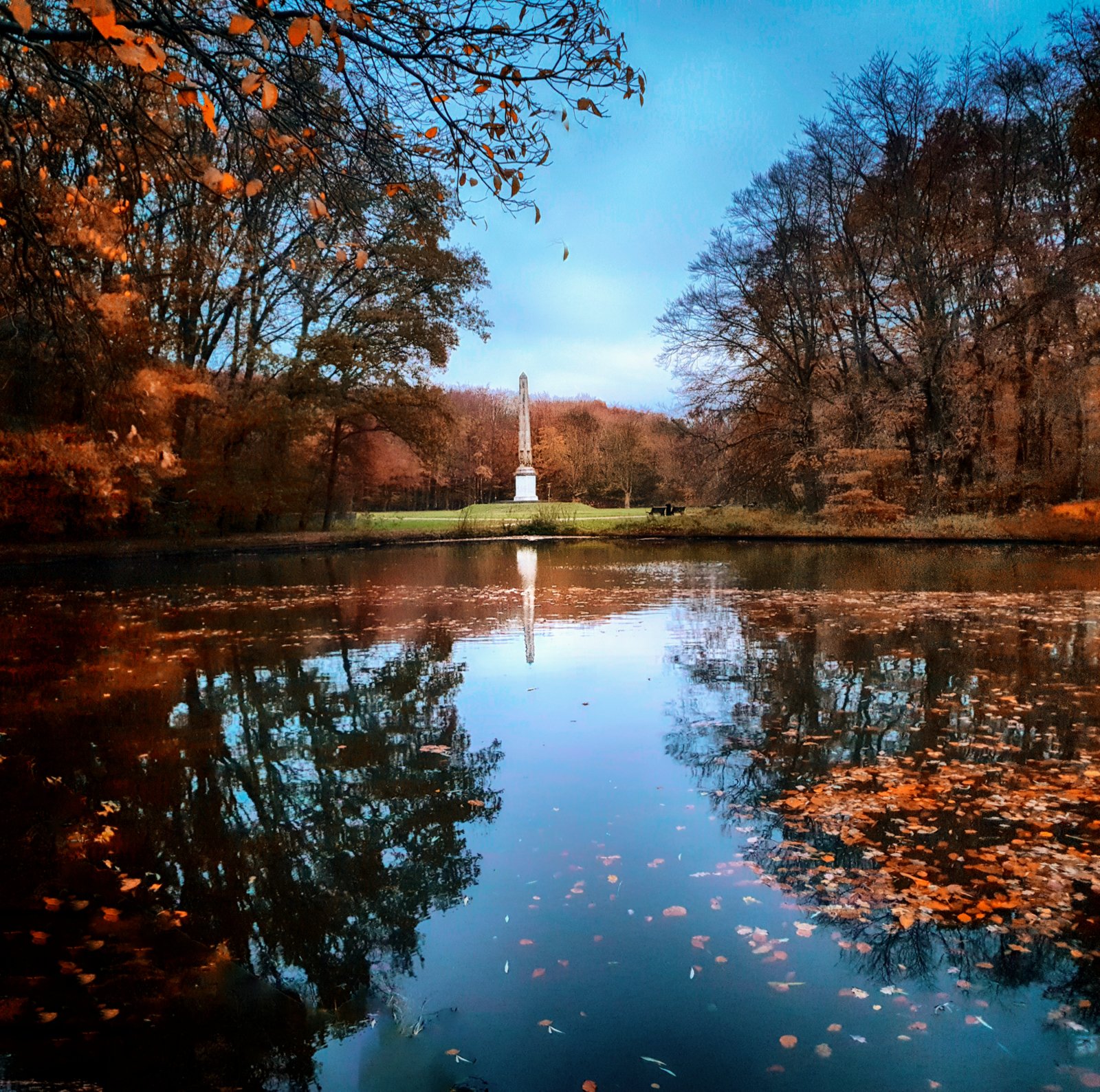 [FOTO] De laatste herfstblaadjes bij de Rijswijkse Naald