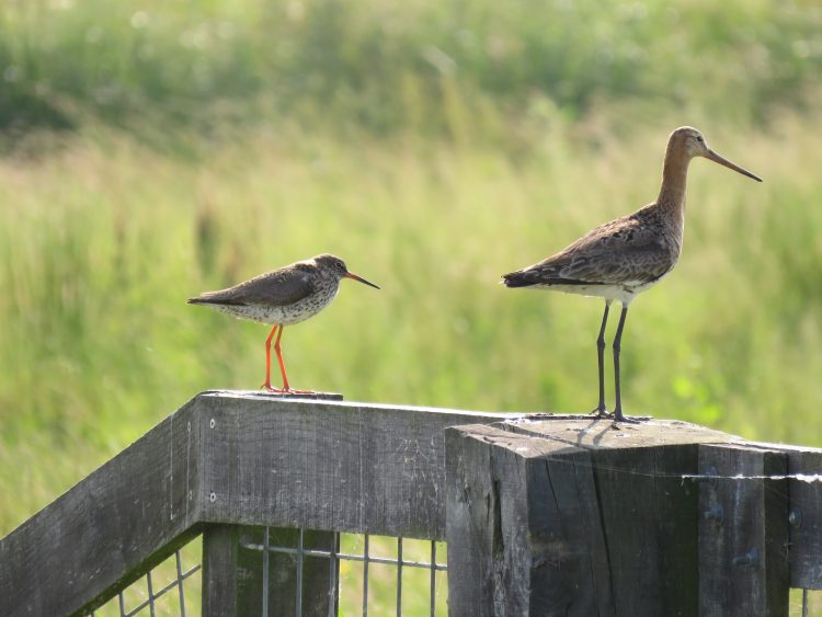 Fotowedstrijd mooiste natuurfoto 2019