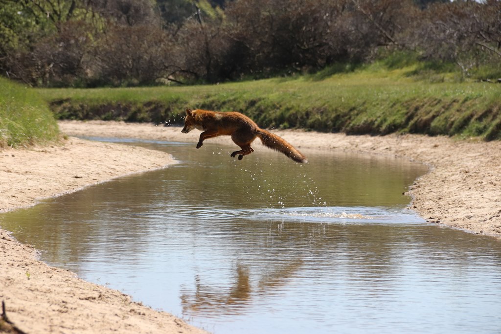 Uitslag fotowedstrijd Natuurlijk Delfland