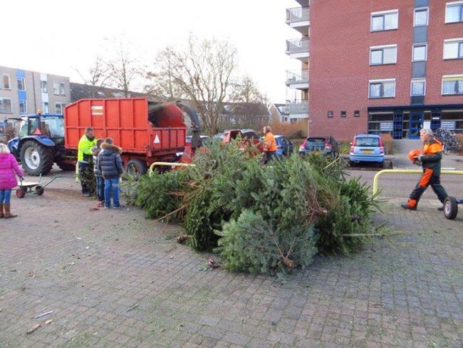 kerstboom-inzameling-e1577962274399