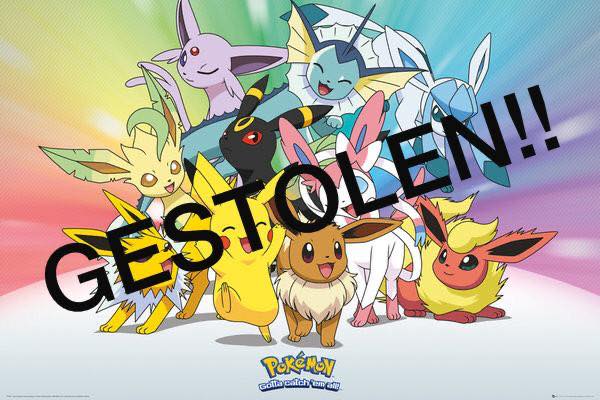 Diefstal Pokémonkaarten Intertoys én winkel Marian de Visser in Nootdorp.