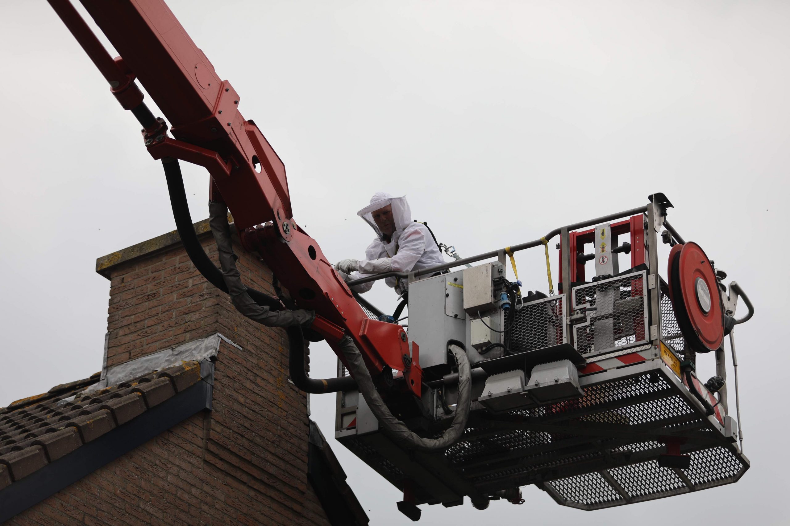Echtpaar wordt wakker in nachtmerrie met zolder vol bijen