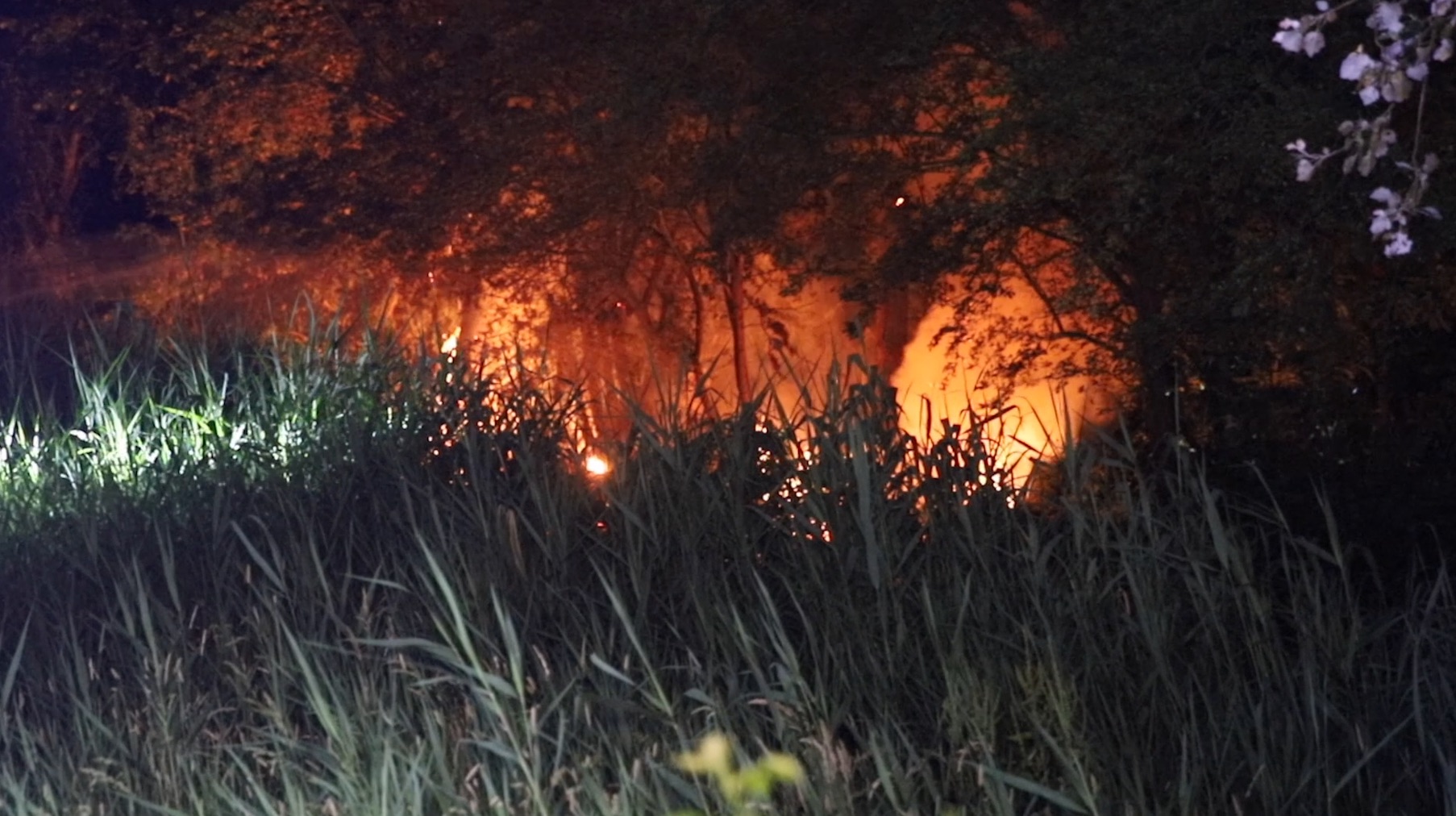 [VIDEO] Natuurbrand aan Vrederustpad in Delfgauw