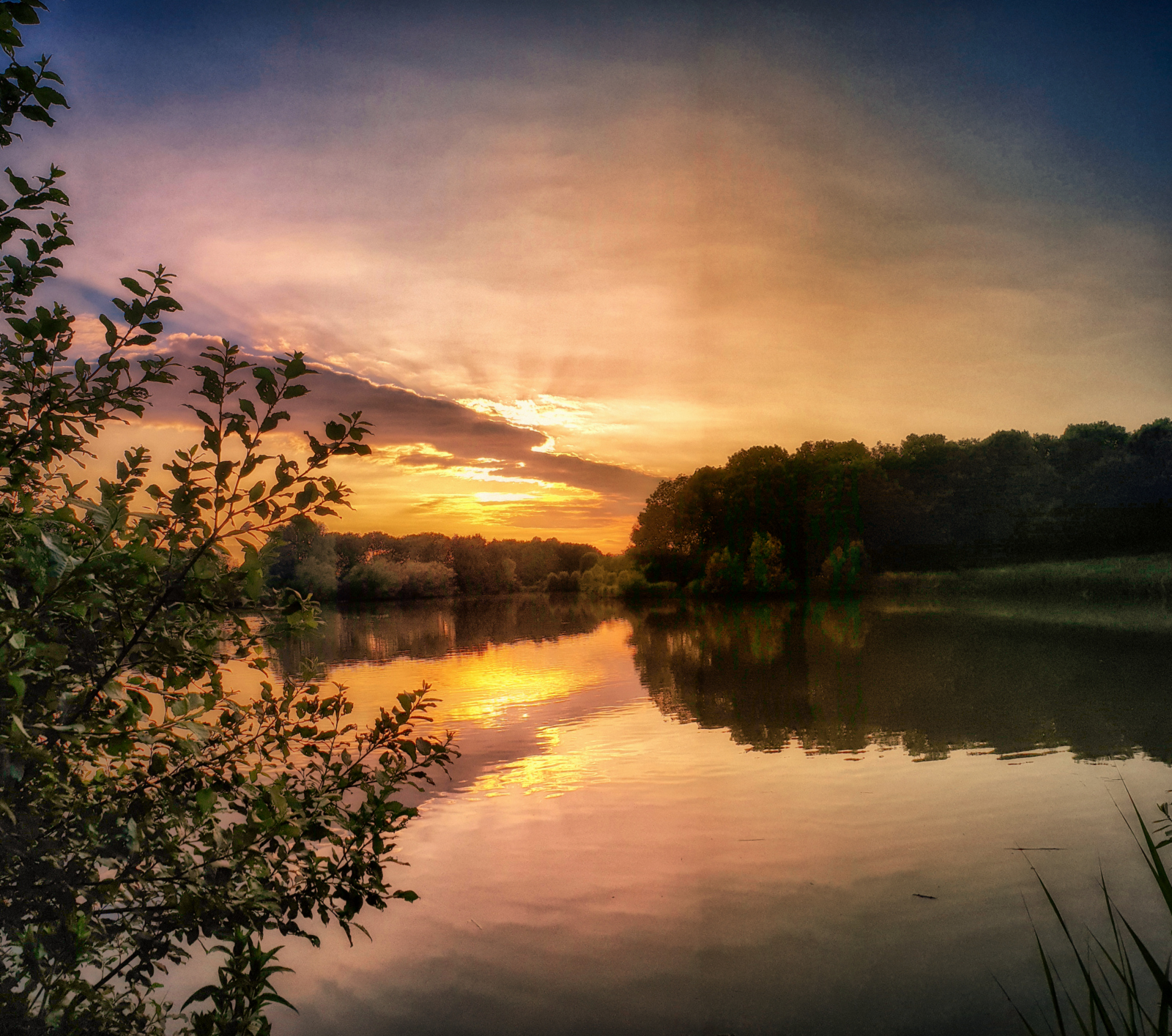 [FOTO] Zonsondergang in Wilhelminapark