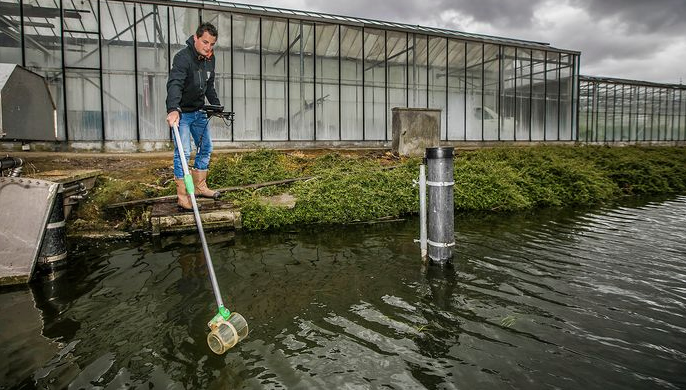 Strenge aanpak bijengif