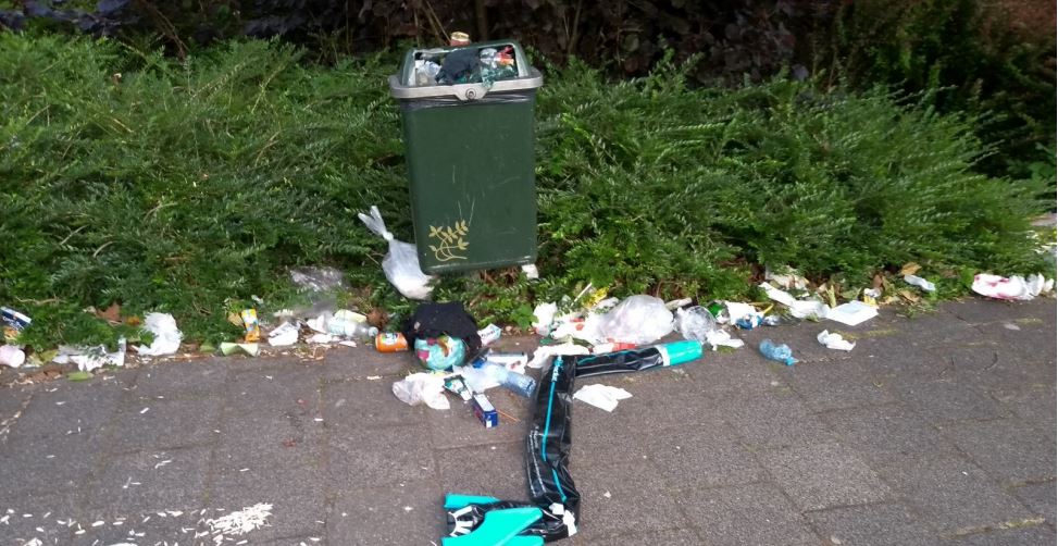 Grotere afvalbakken in Rijswijkse parken
