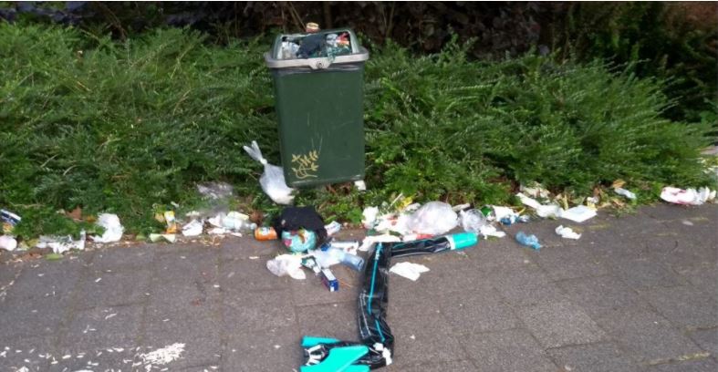 Meer vuilnisbakken in hondenlosloopgebied Wilhelminapark