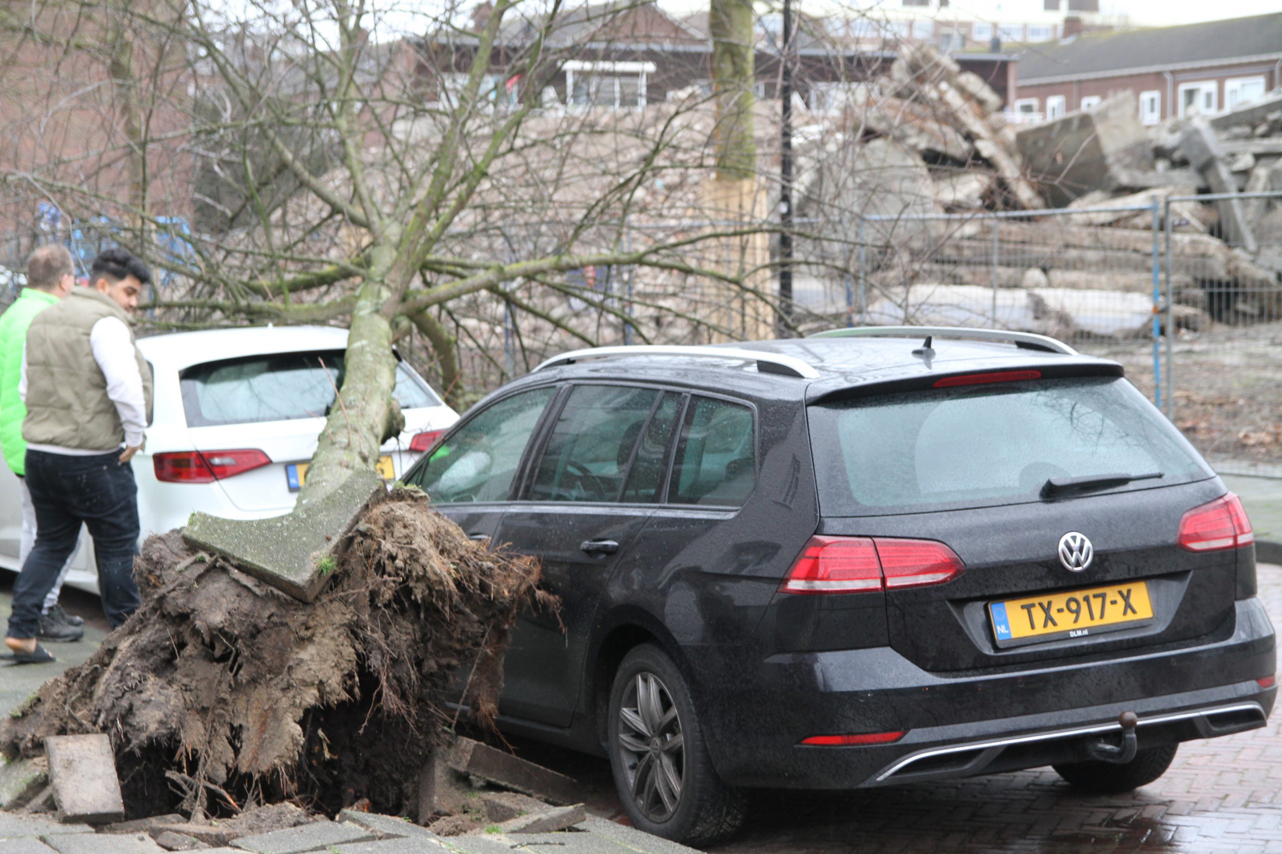Boom uit de grond getrokken door storm en op auto’s gevallen