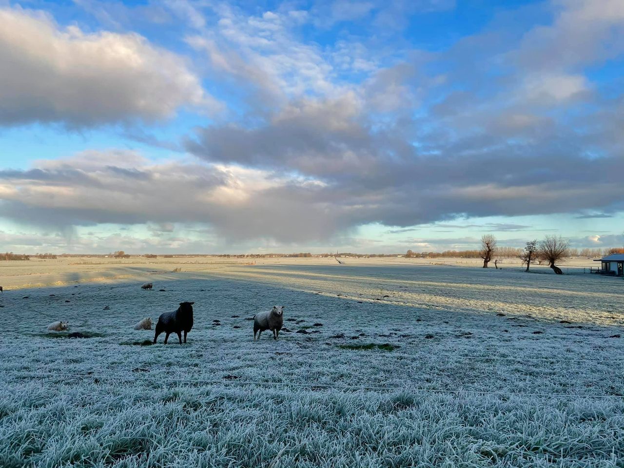 [FOTO] Frisse ochtend met mooie plaatjes