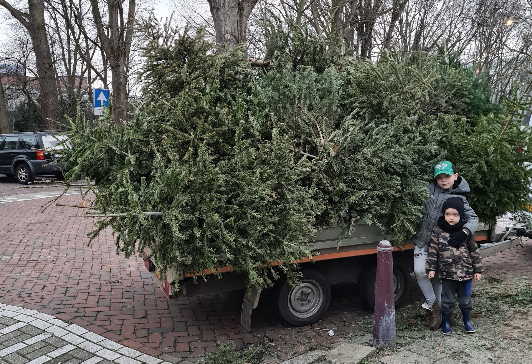 7-jarige Jaylen haalt 223 kerstbomen op
