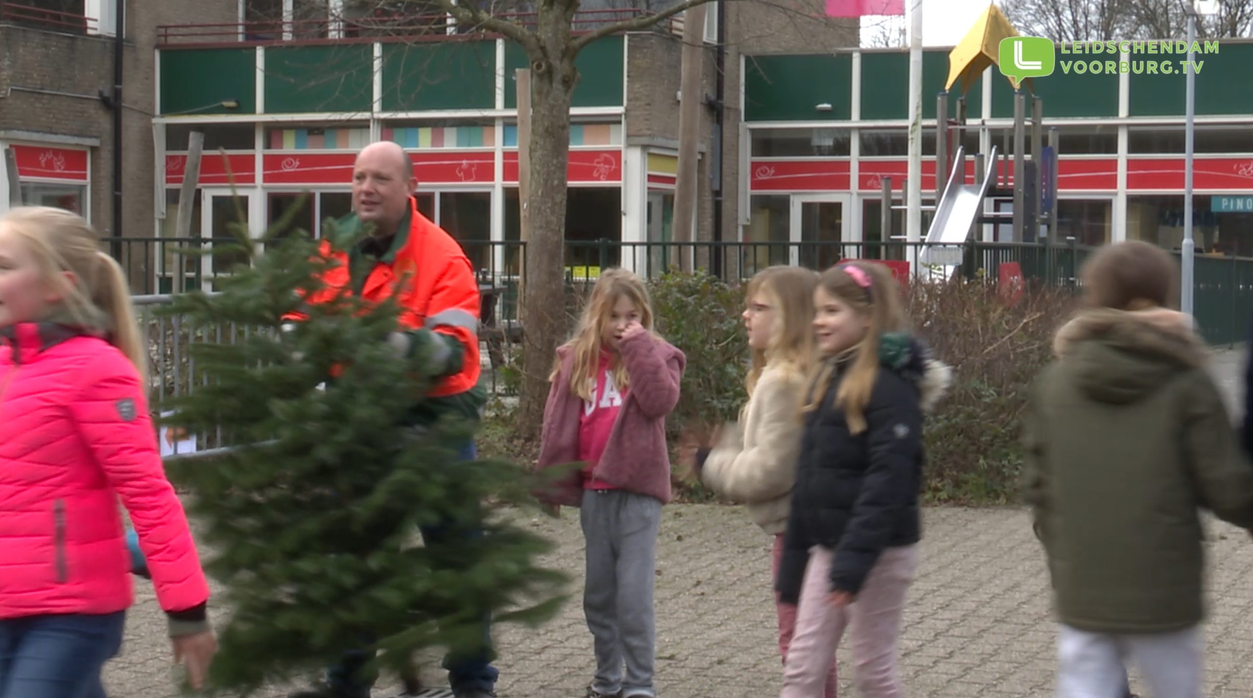 [VIDEO] Kerstbomen inleveren is een groot succes. Gemeente heeft al meer dan 2.000 bomen ontvangen