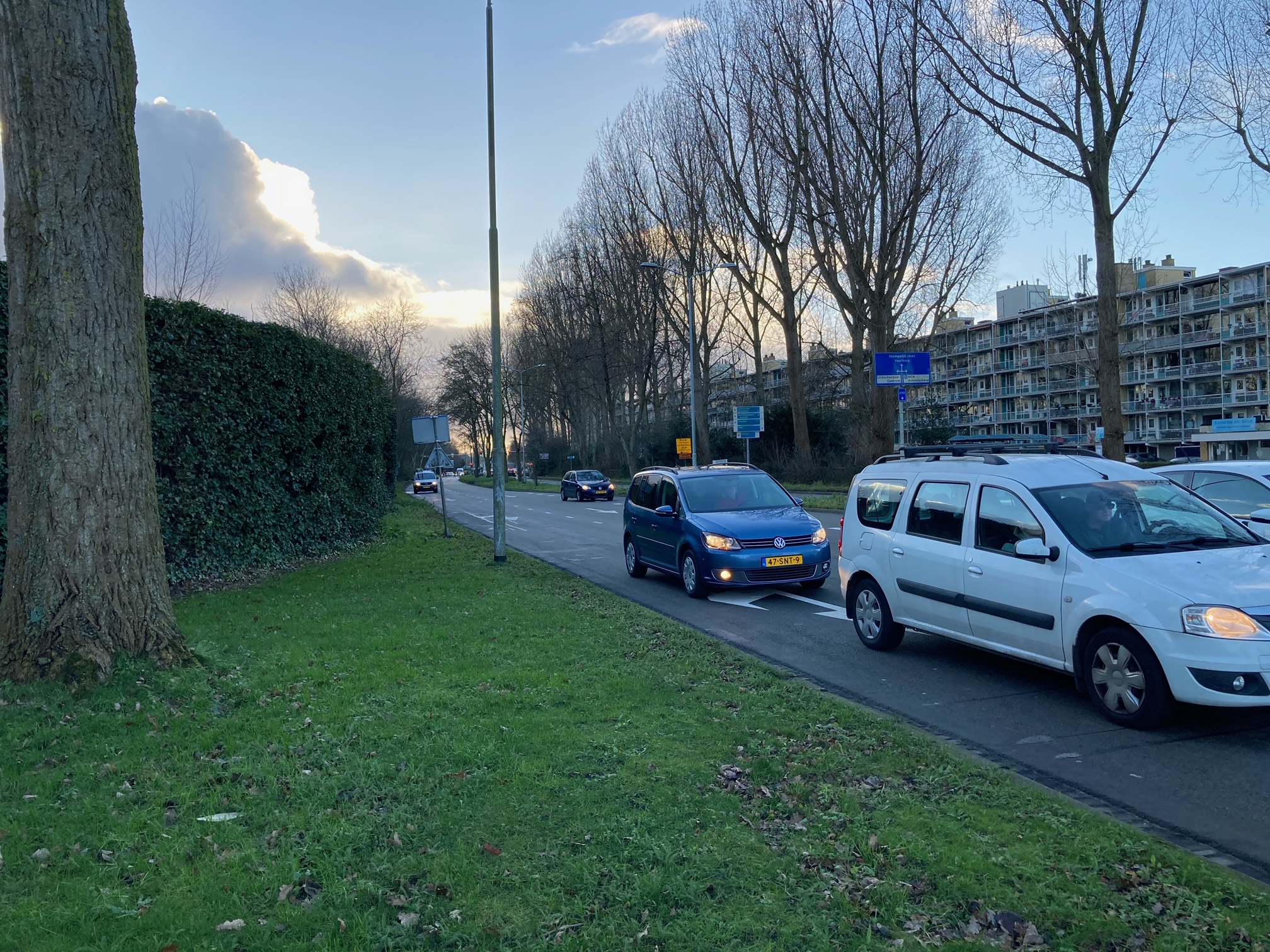 Bomenkap doorn in oog van bewoners Burgemeester Keijzerlaan