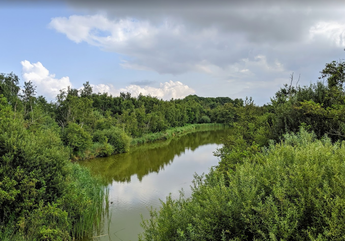 Bestemmingsplan Ruyven-Zuidpolder 2020 gewijzigd