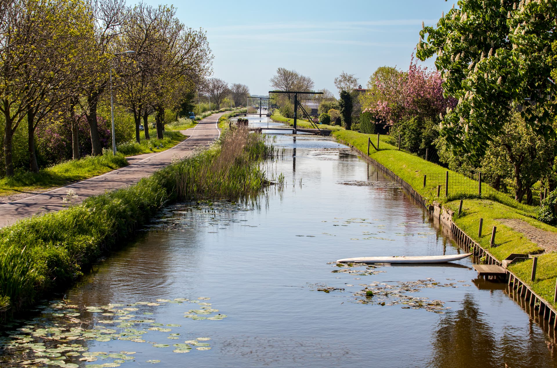 Waterkwaliteit niet verbeterd in Delfland