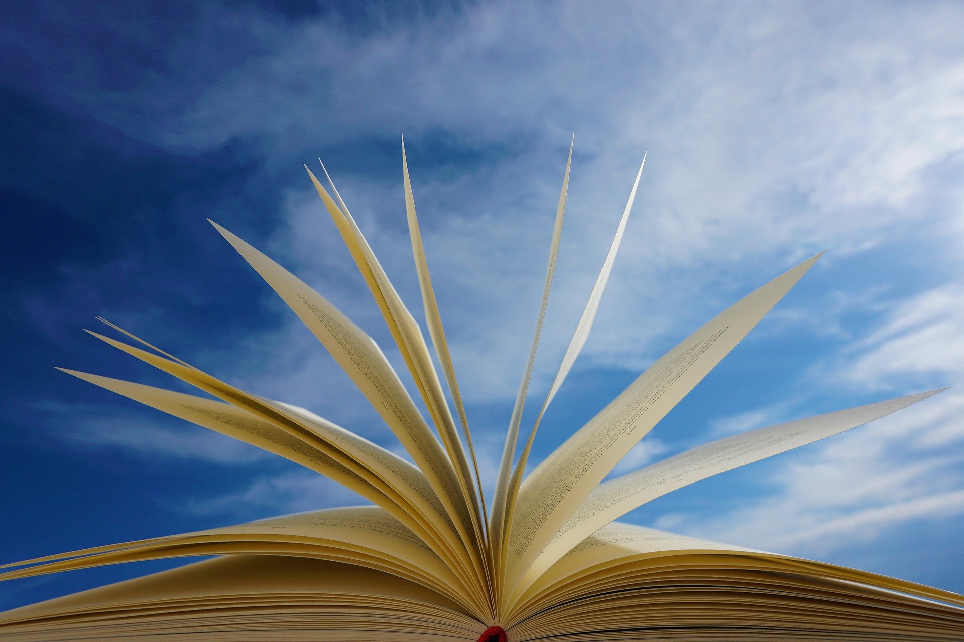 Deuren Bibliotheek Oostland weer wagenwijd open