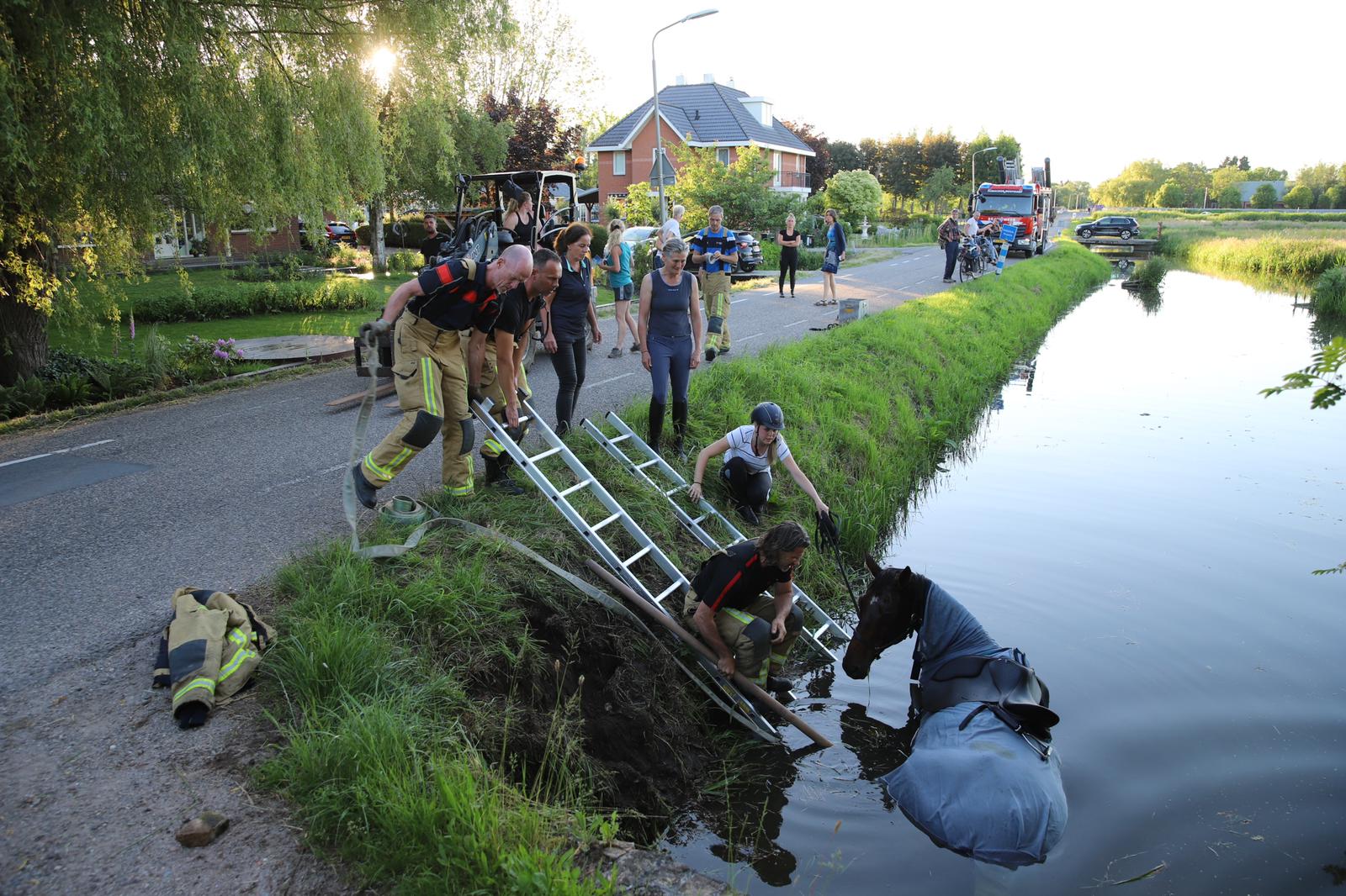 Paard valt in het water aan Zuideindseweg Delfgauw