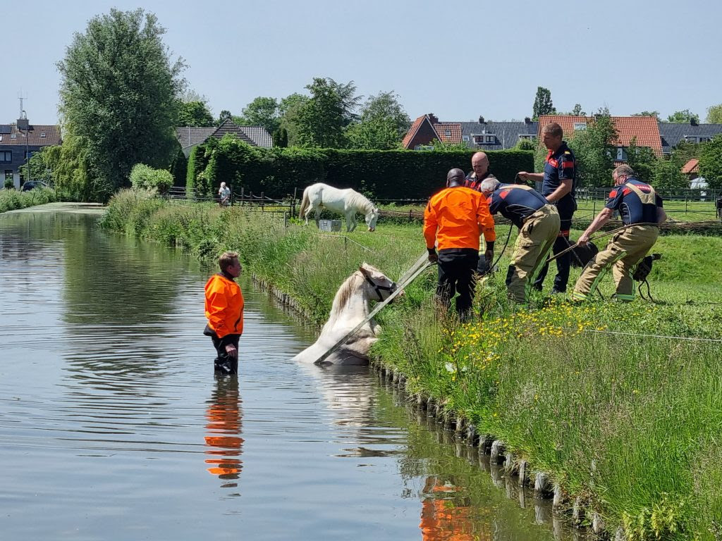 Recordopbrengsten Grote Clubactie
