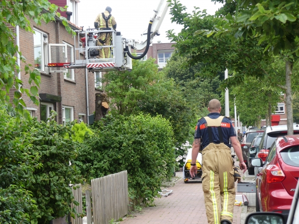 Brandweer zaagt boom om voor medische noodsituatie Prins Bernhardstraat in Nootdorp