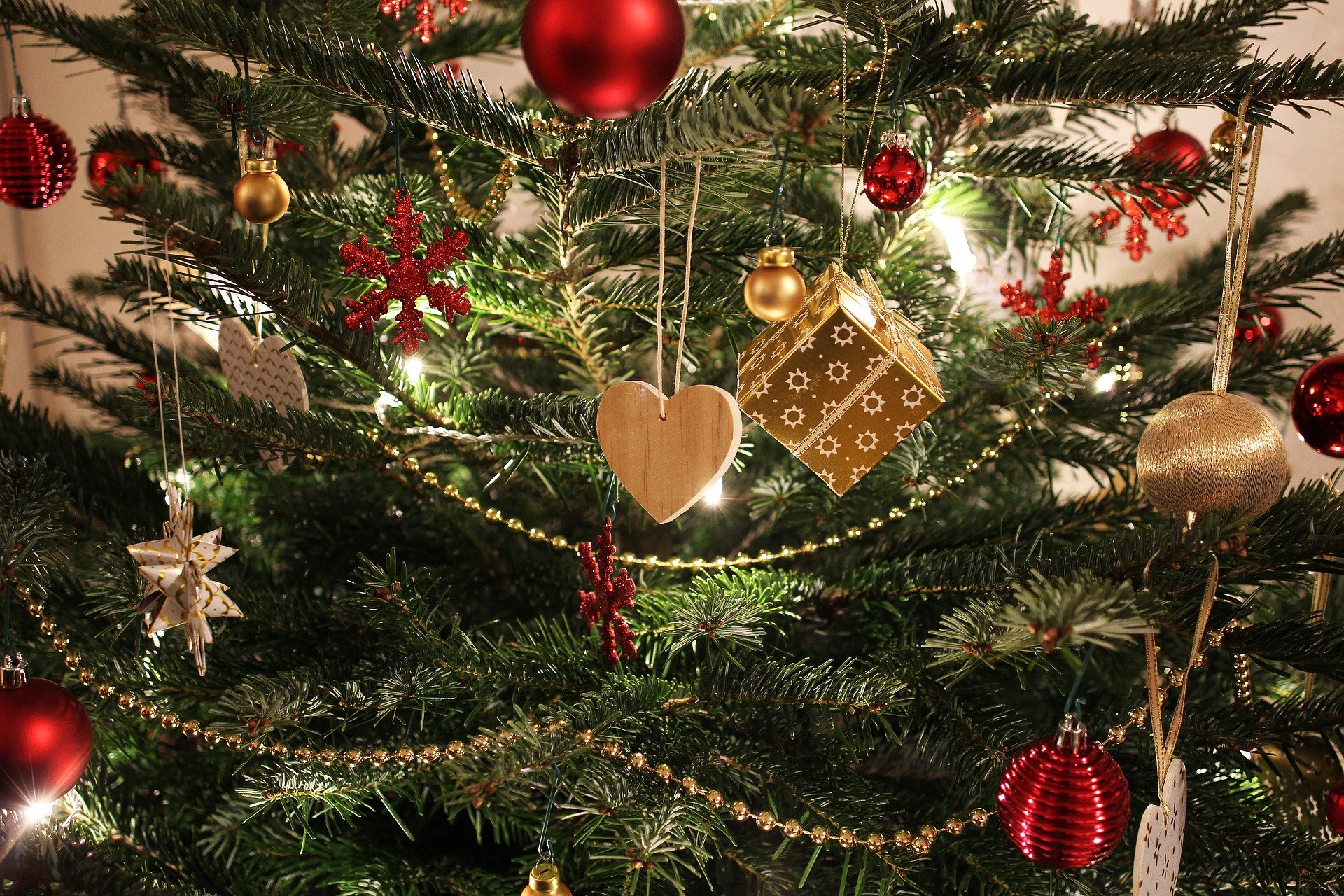 Geen kerstboom inzameling 2022